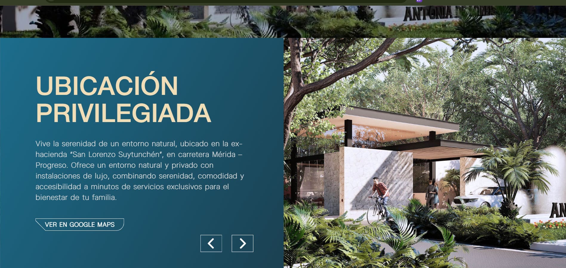 Captura de pantalla 2026-01-03 153047